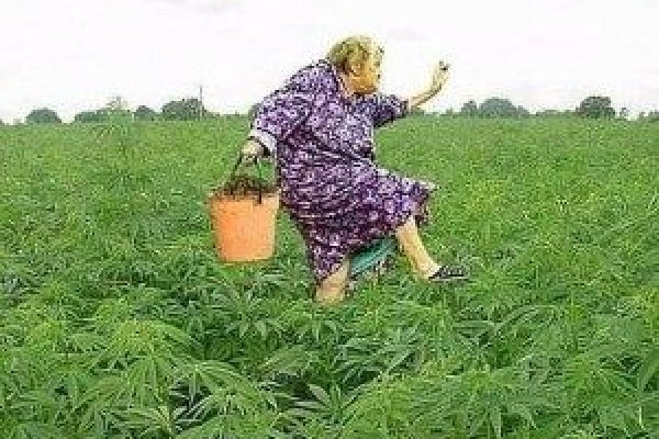 Ониона интернет магазин москва