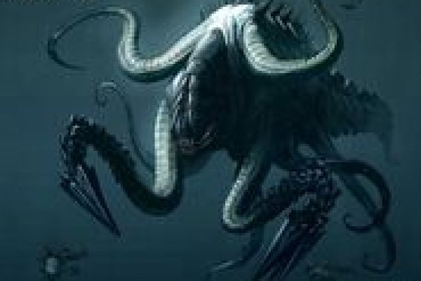 Как зарегистрироваться в kraken